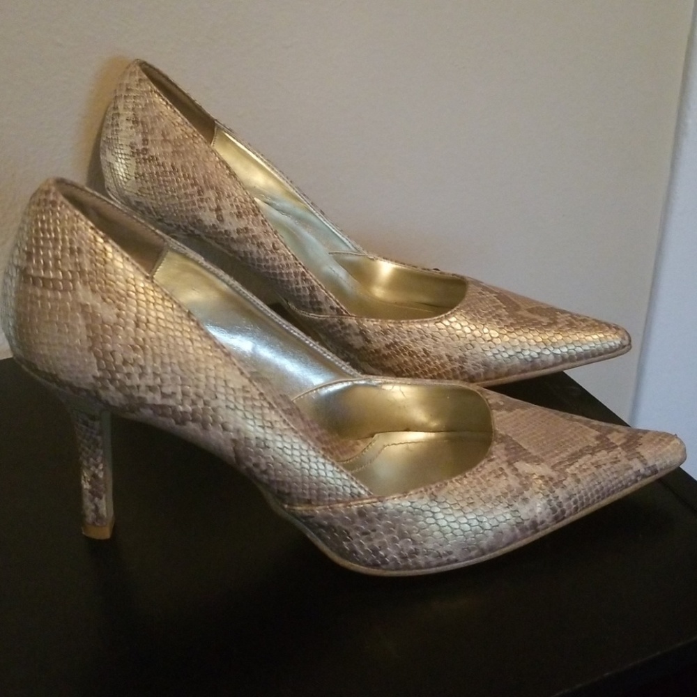 Gold Rampage Snake Skin - Picture 2 of 3
